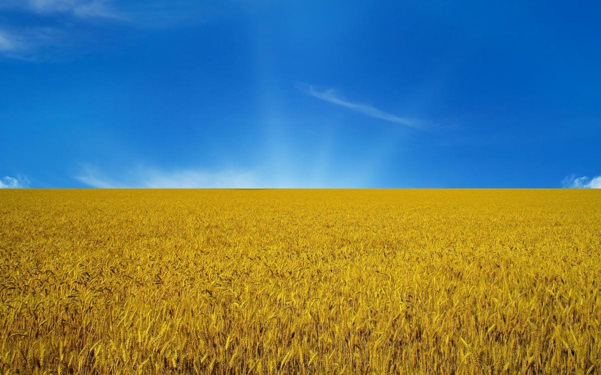 Що вдалось зробити нашій команді за два місяці війни?